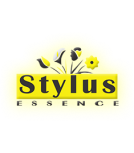 stylus